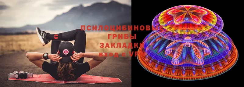 Псилоцибиновые грибы Psilocybe  Волгоград 